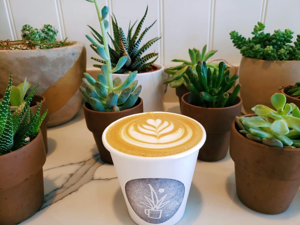 Succulent Roasters Coffee