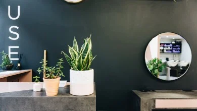 Plant Salon in Chicago