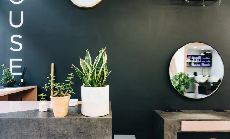 Plant Salon in Chicago