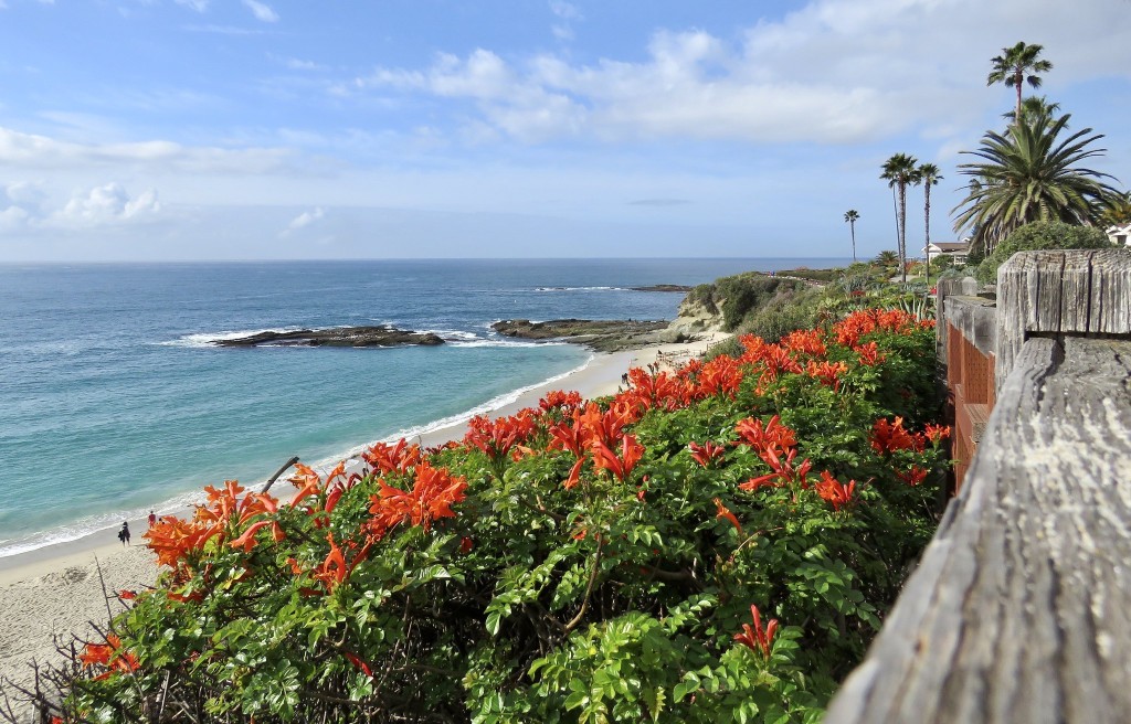 Treasure Island laguna beach