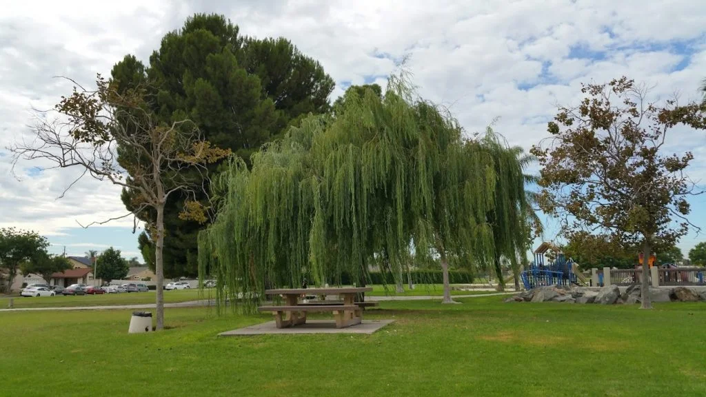 Lillie King Park