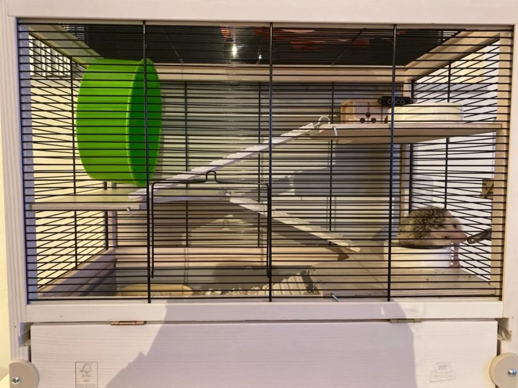 hamster travel cage