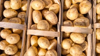 potatoes in basket