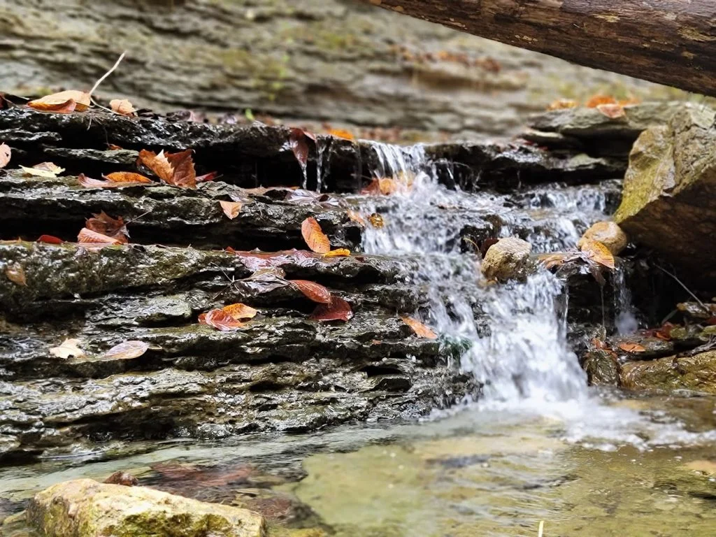 Big Clifty Falls