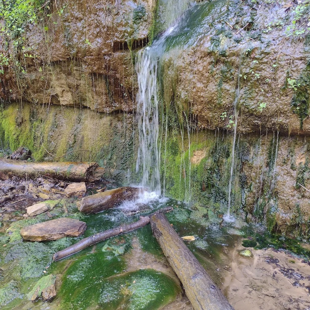 Muscatatuck Falls falls Indiana