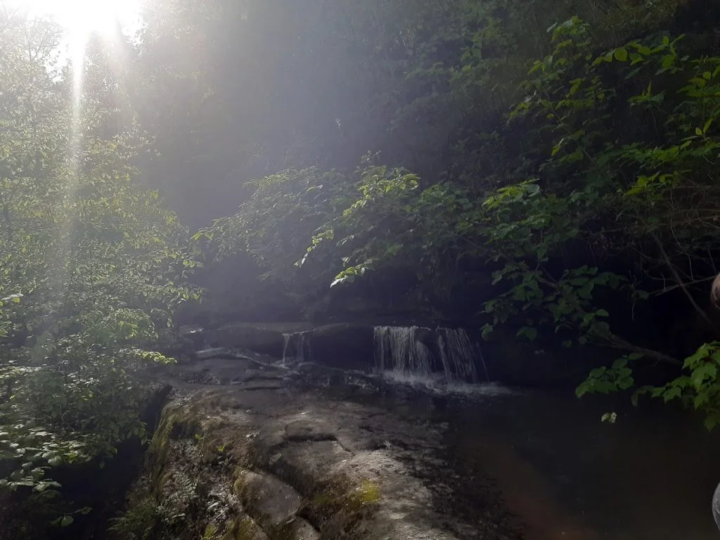 Blackhand Gorge State Nature Preserve