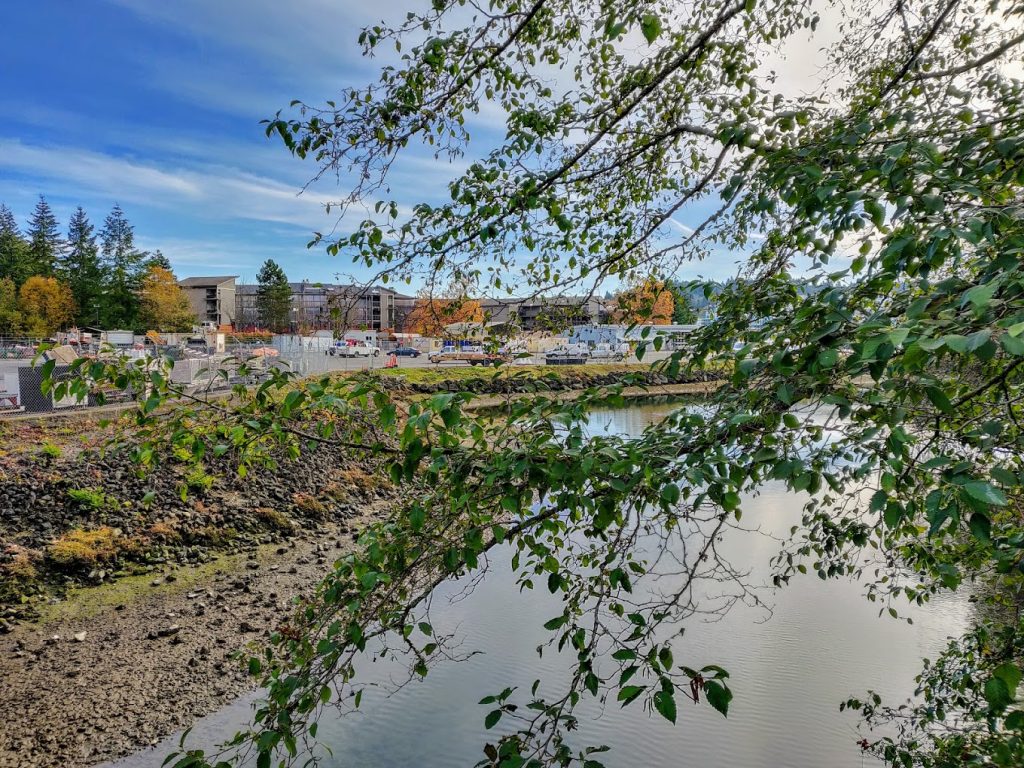 Waterfront Park & City Dock