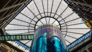 AquaDom, the world's largest cylindrical aquarium