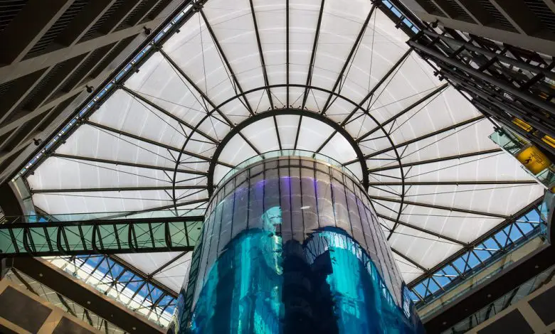 AquaDom, the world's largest cylindrical aquarium