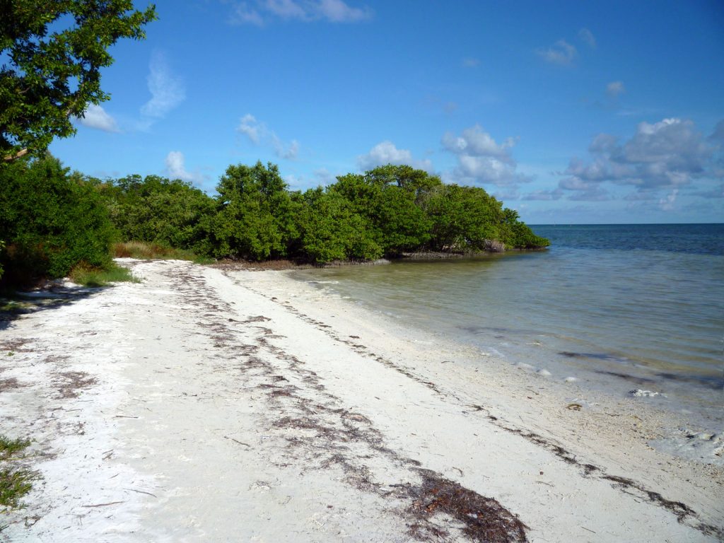 Anne’s Beach in Key Largo Florida