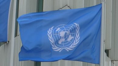 flag of un