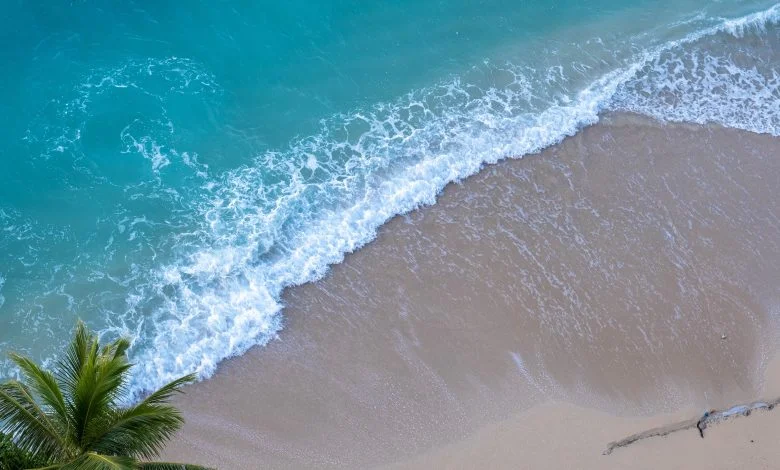 beach waves