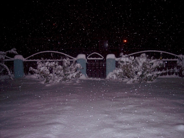 dark night heavy snow usa gate night