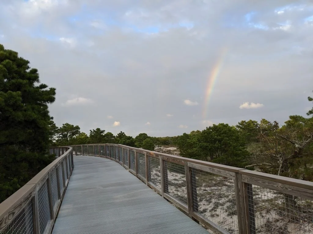 The Gordons Pond Trail