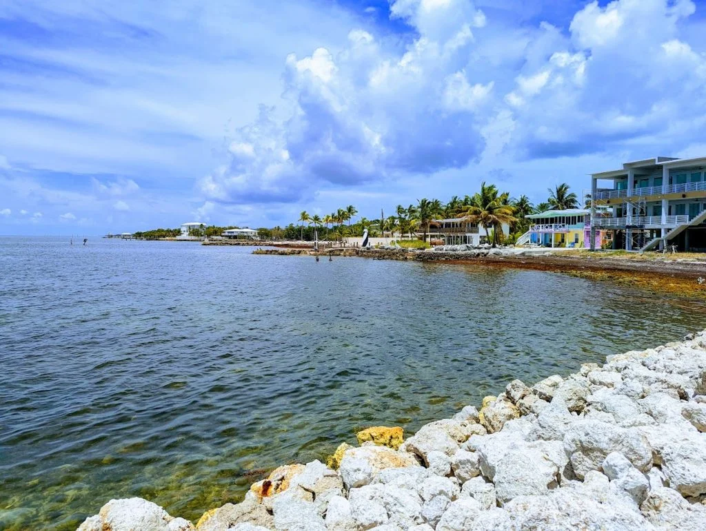 Harry Harris Beach Key Largo