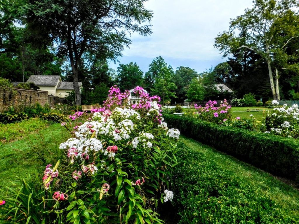 Morven Museum & Garden Flowers