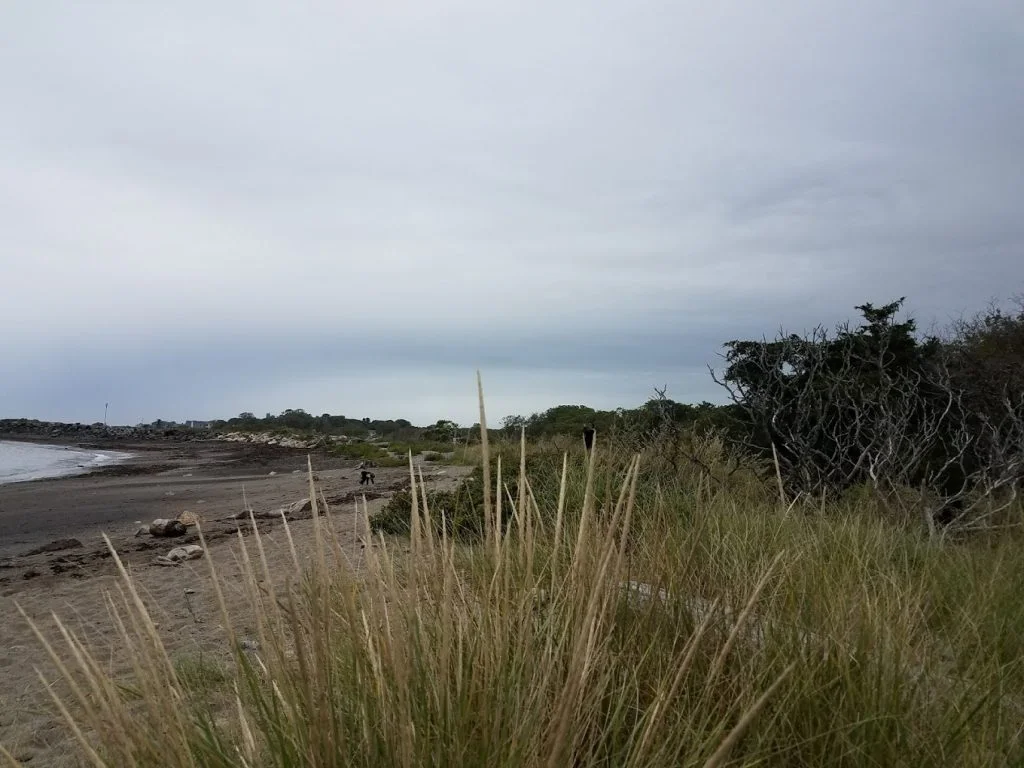 Odiorne Point State Park
