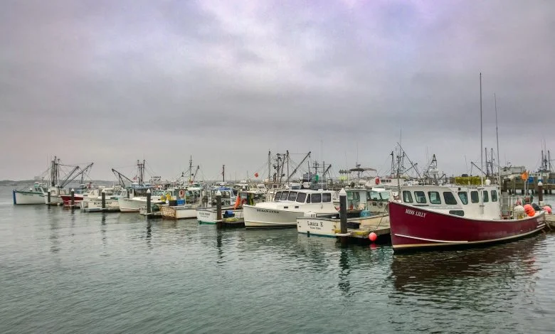 provincetown harbour fishing boats