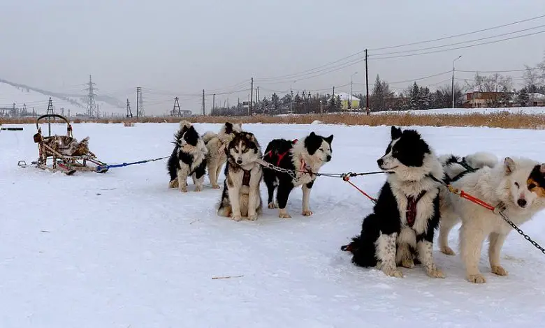 Yakutsk, Sakha Republic, Russia