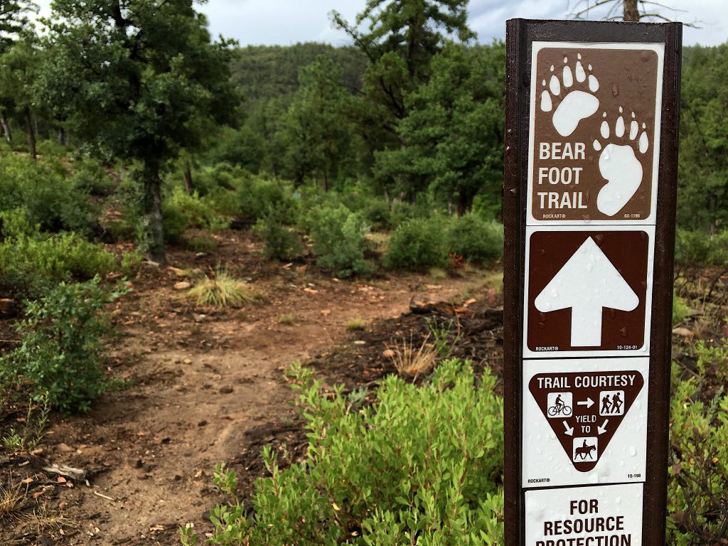 Bear Foot Trail arizona