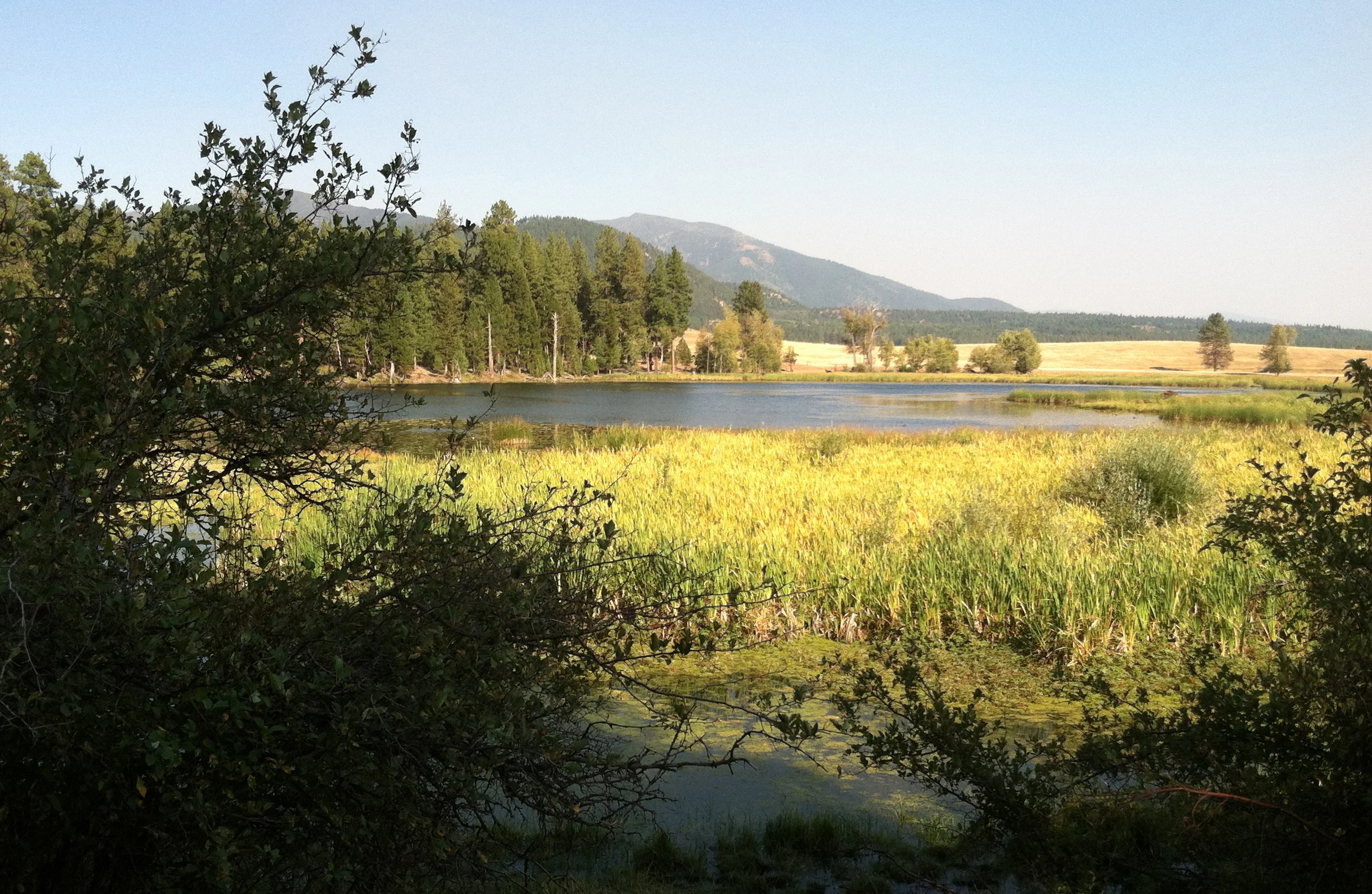 Blackfoot Valley scene in Missouola County, Montana. August 2012.
