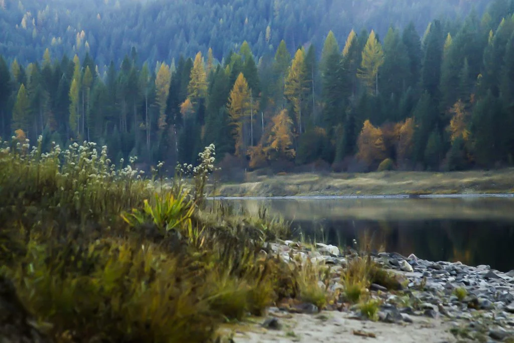 Clark Fork Riverfront in fall