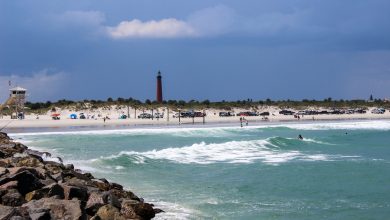 Summer Fun in the sun at Ponce Inlet Park in Florida.