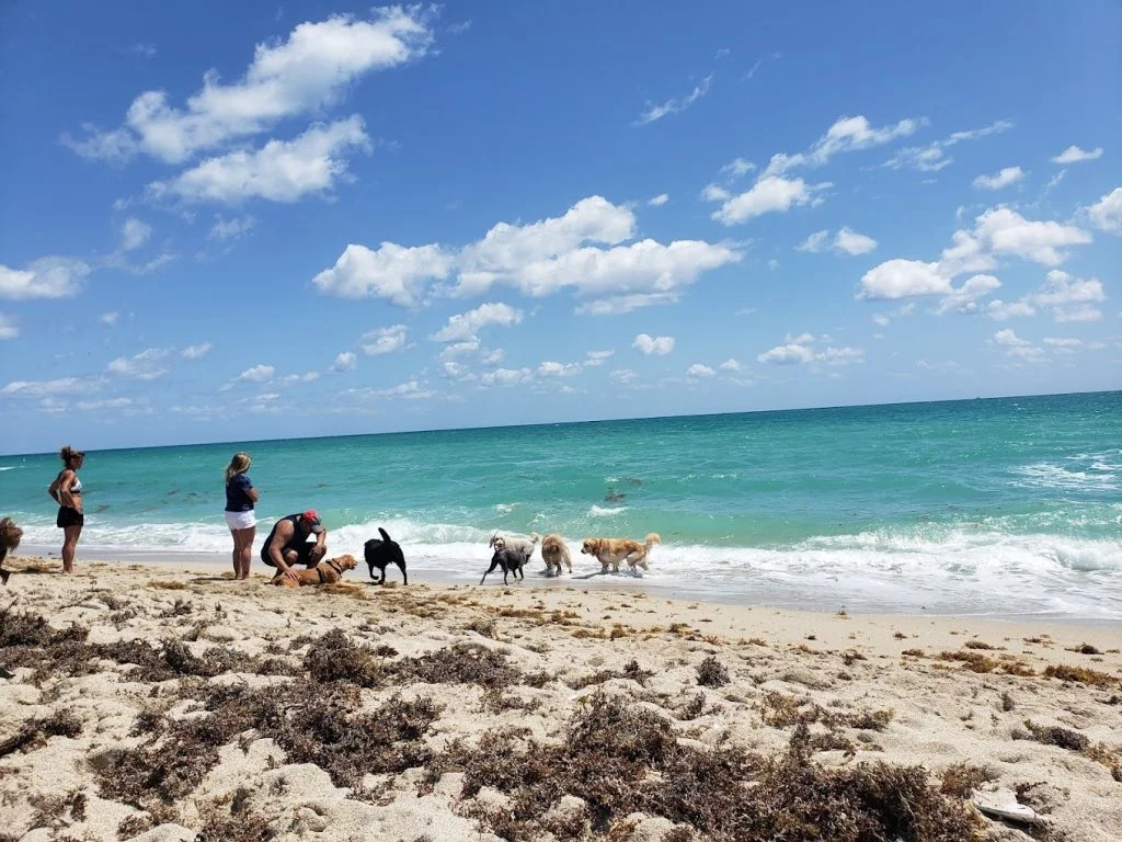 Florida's Clothing-Optional Beaches: An Unforgettable Experience ...