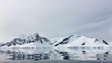 Antarctica's Wilderness Under Threat: The Impact of Tourism