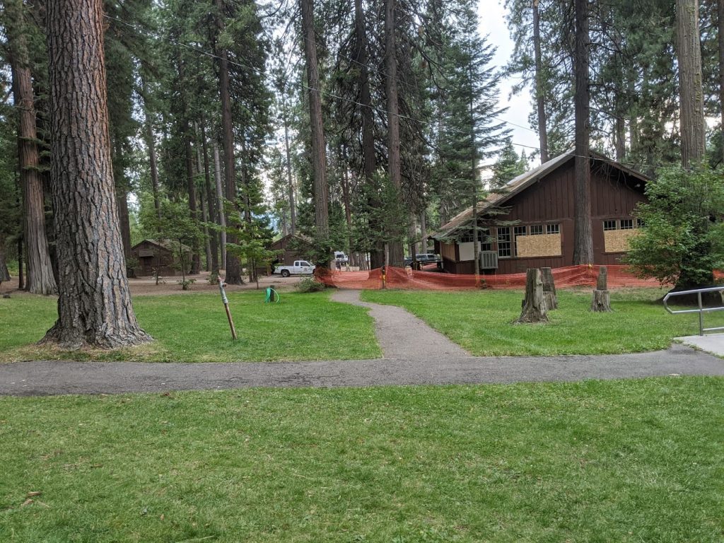 Mount Shasta City Park big trees and house