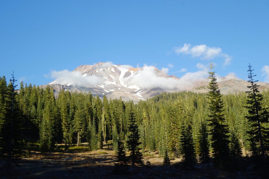 MOUNT SASHA COVERED IN CLOUDS WITH TREES IN FOREGROUND