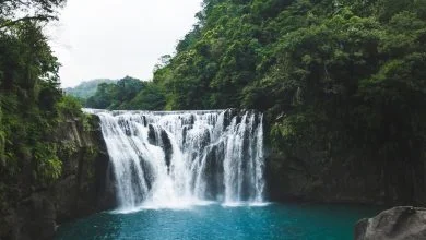 beautiful waterfall nature