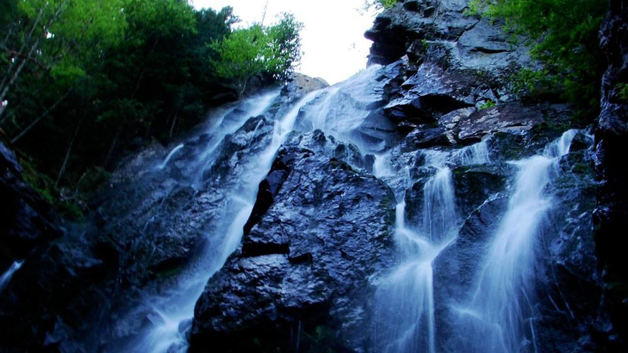 Waterfall with rocks and trees