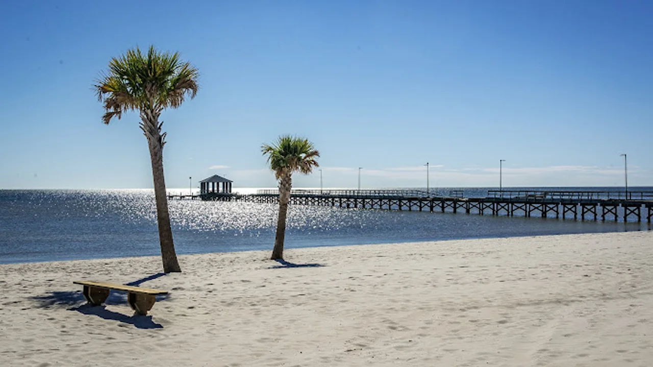 Beach with bench and palm trees