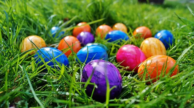 easter eggs on grass multiple colors