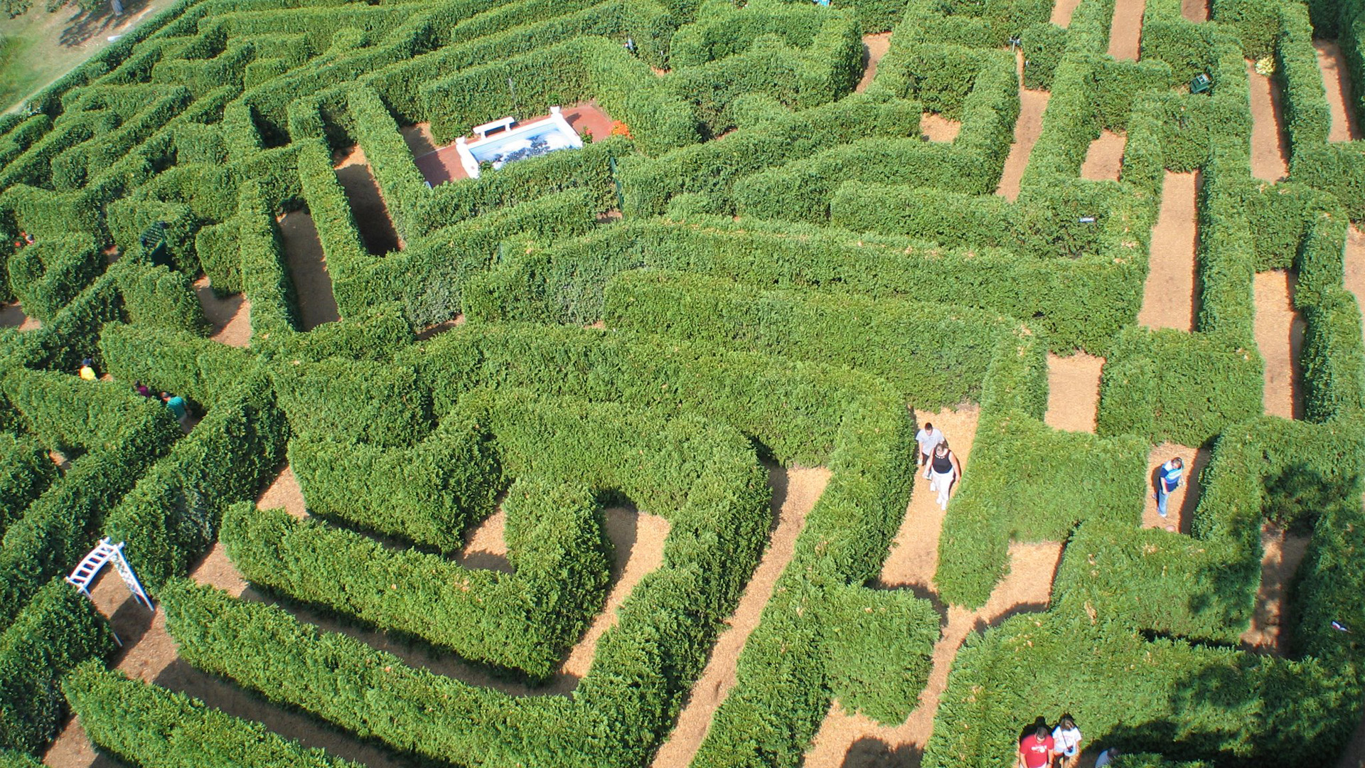 Beautiful Garden Maze