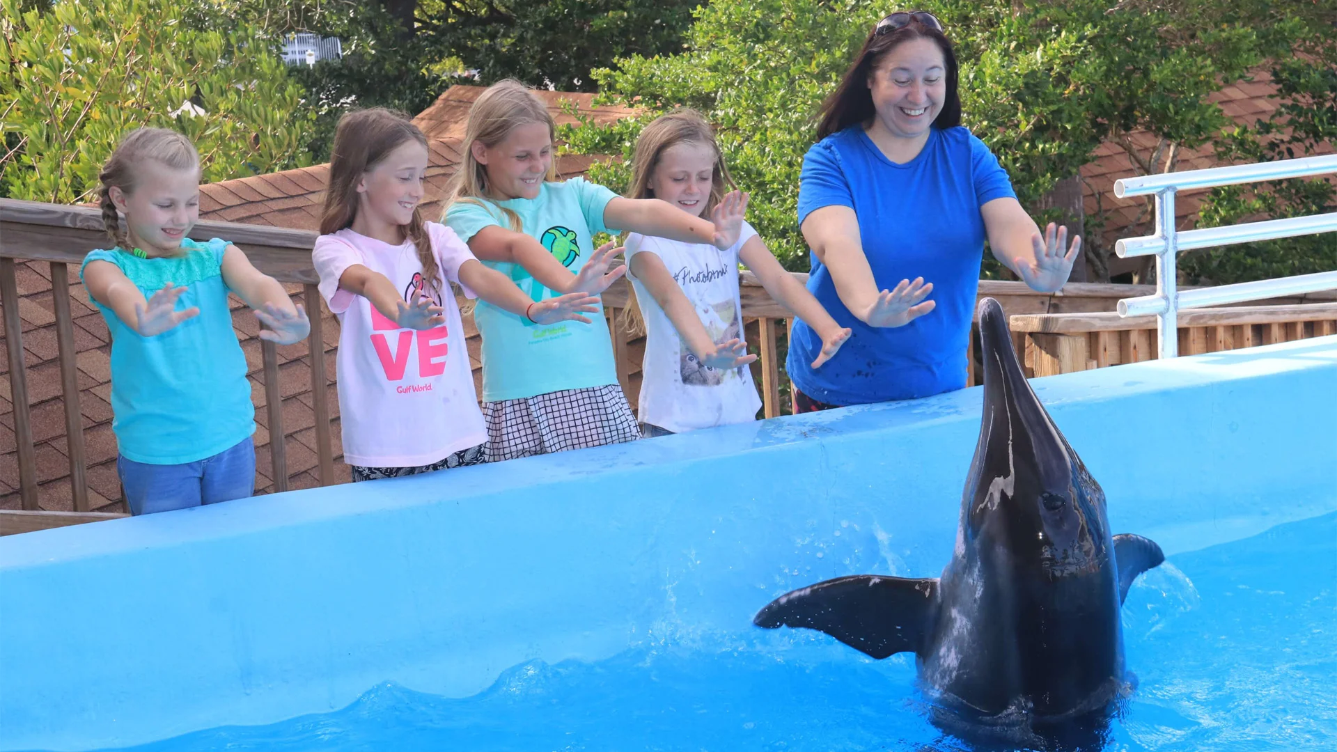 Kids enjoying with a dolphin