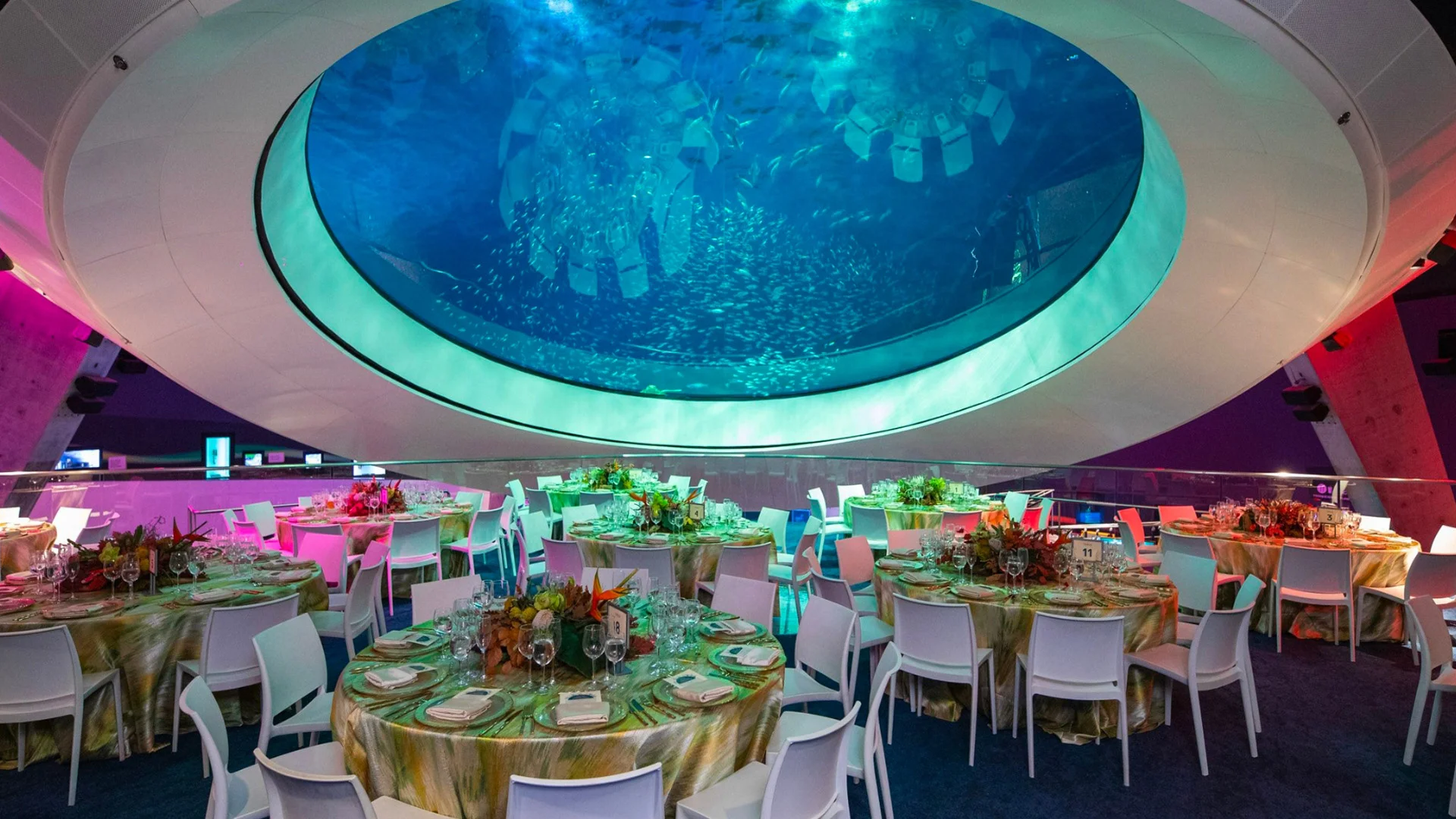 Beautiful view at the museum