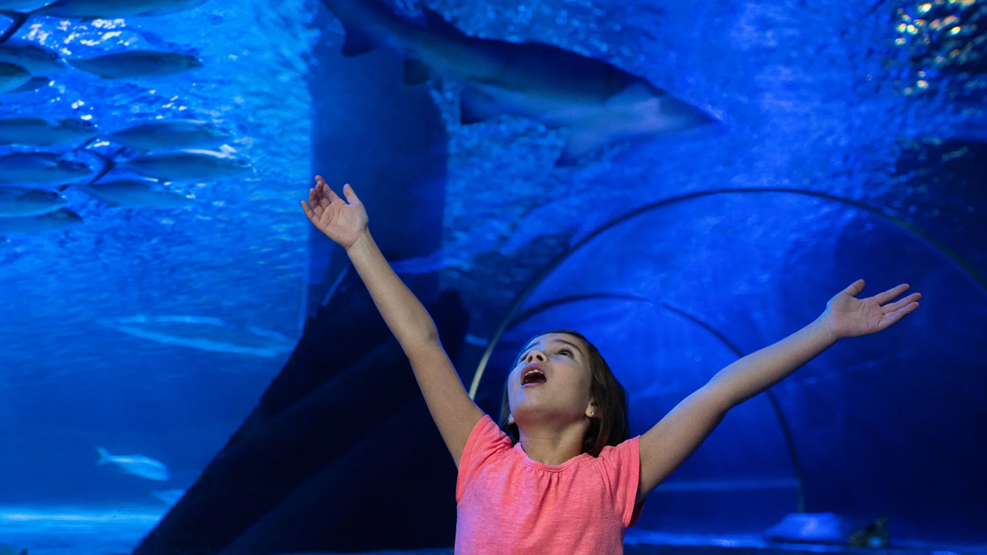 Litte girl at Sea Life Orlando Aquarium