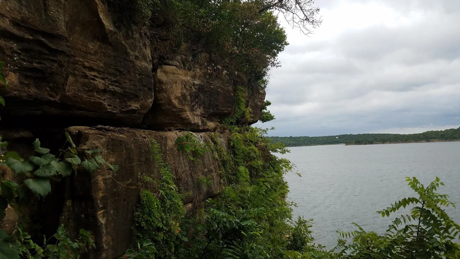 Hill, trees and lake