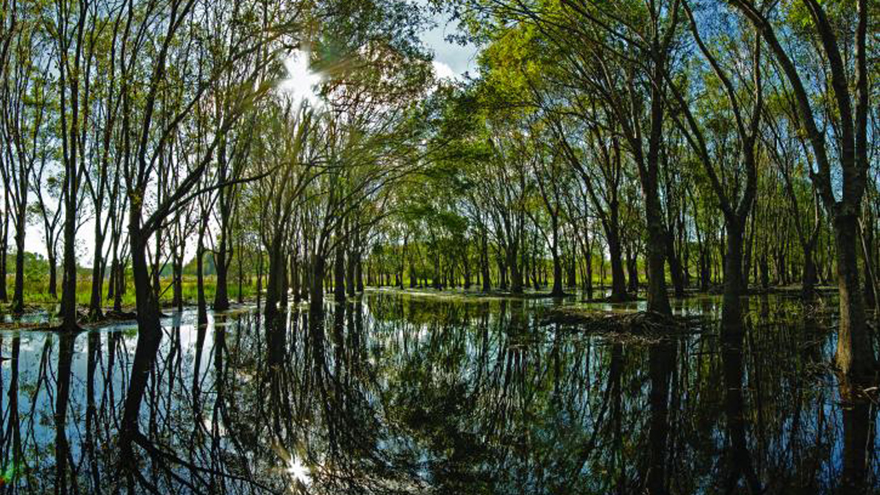 Hillsborough River