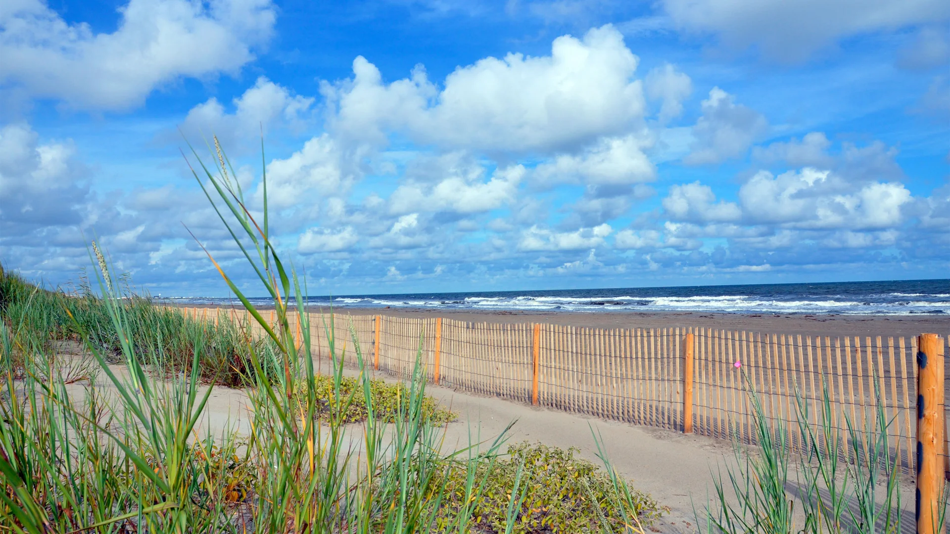 Beach with fence