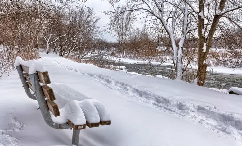 Environment Canada warns of harsh winter weather in Toronto