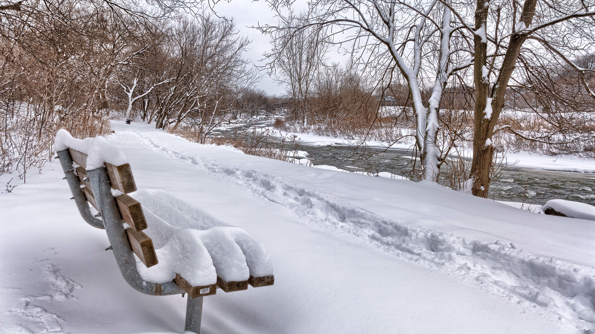 Environment Canada warns of harsh winter weather in Toronto