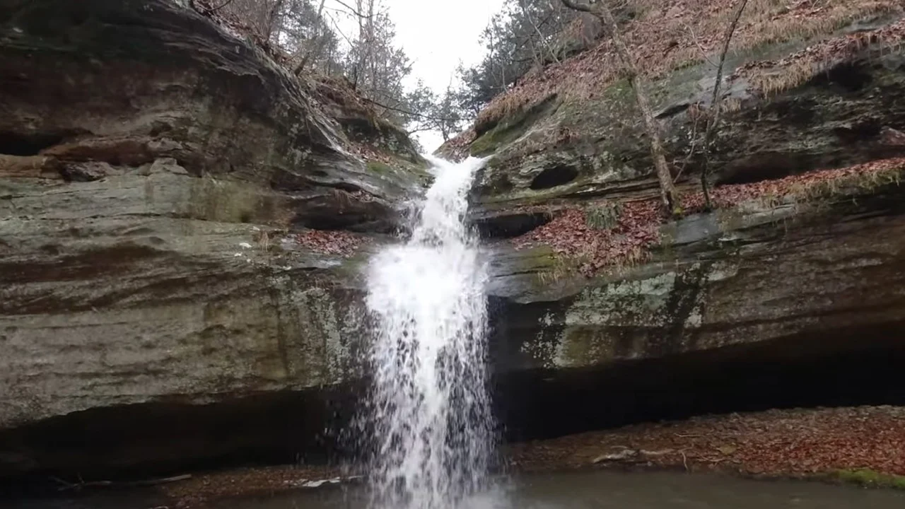 Double Branch Hole