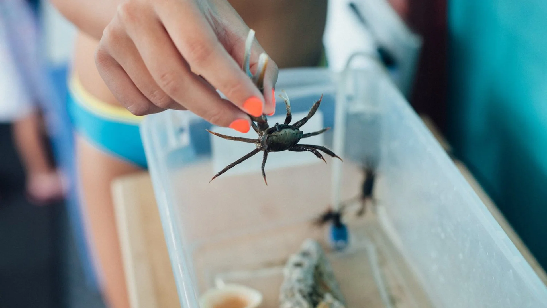 EMA Touch Tank Aquarium