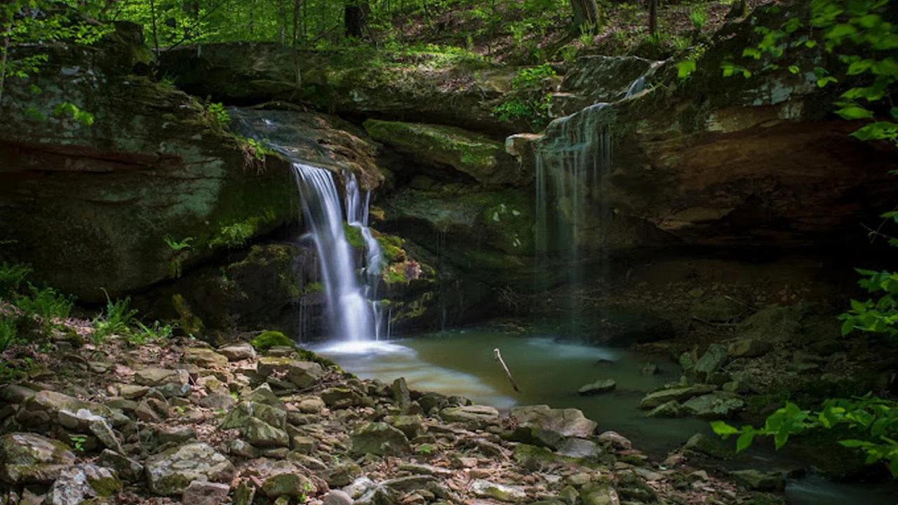 Ferne Clyffe Falls