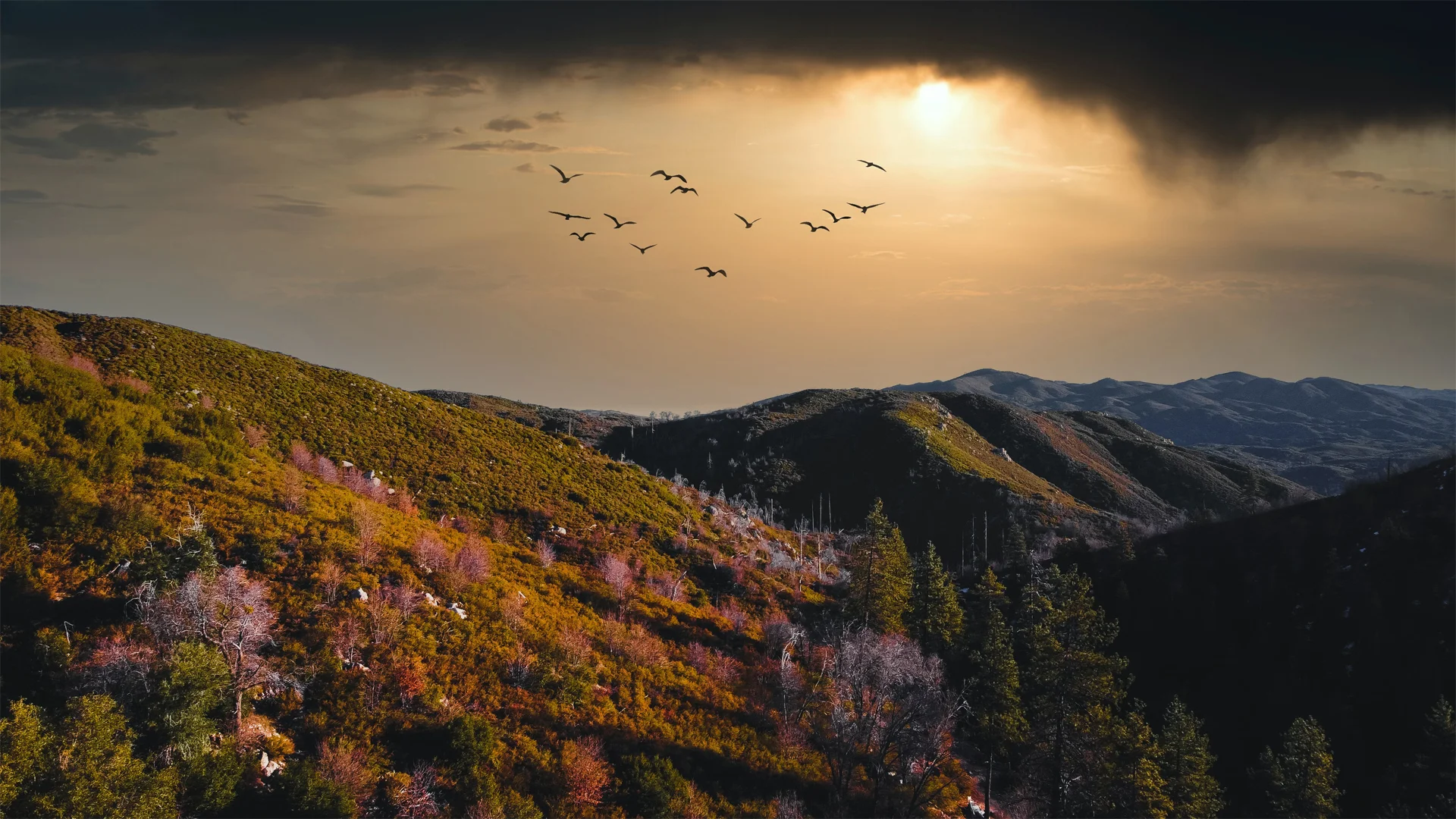 Mountains of Lake Arrowhead