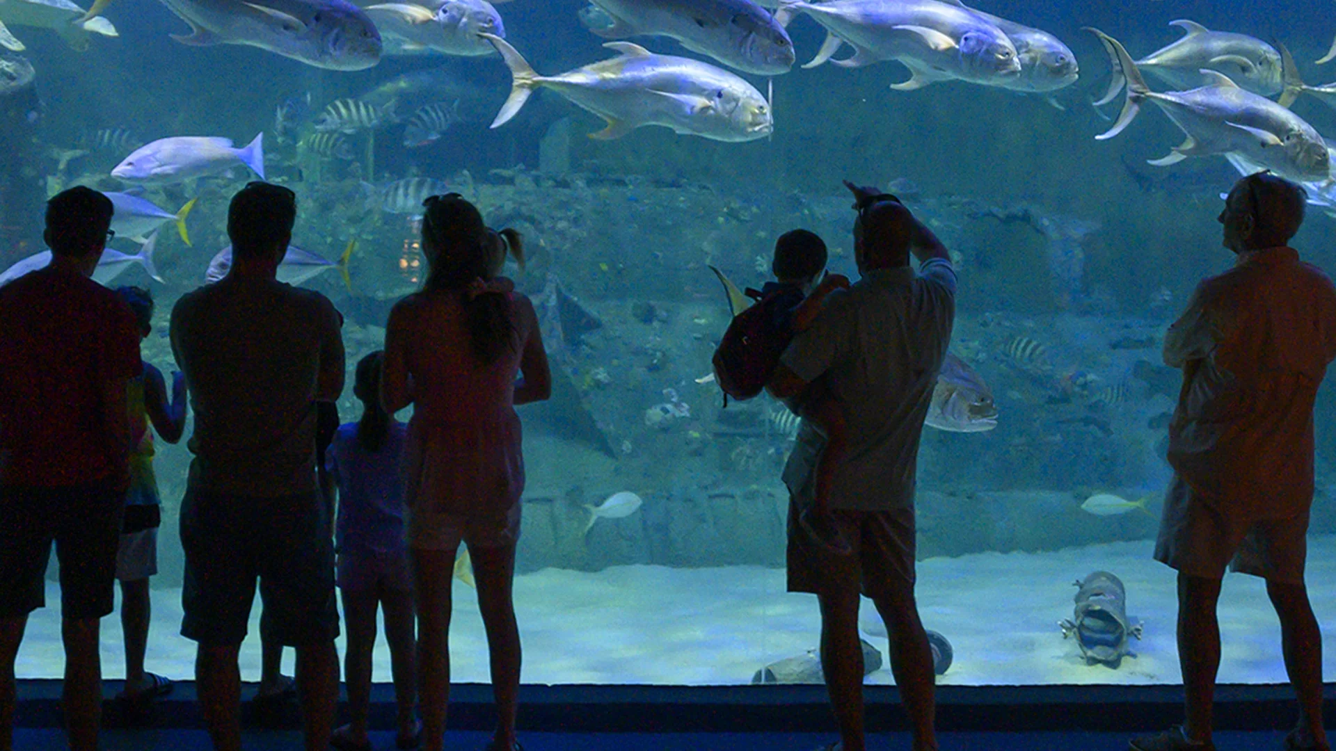 People enjoying at North Carolina Aquarium at Pine Knoll Shores