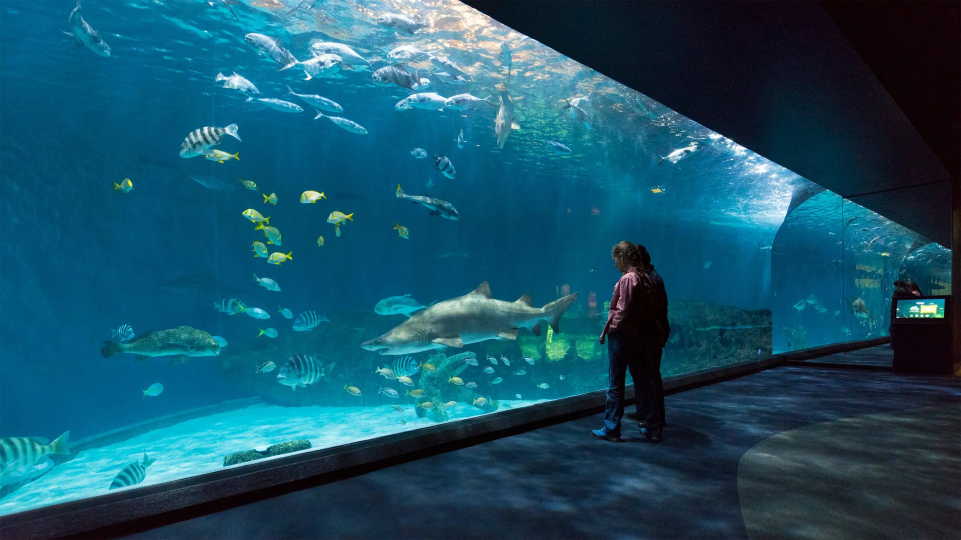 North Carolina Aquarium on Roanoke Island